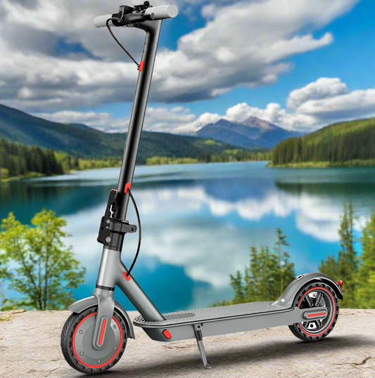 Alpen Scooter D8 Pro E-Scooter 350W/10.4Ah