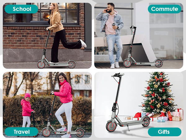 Alpen Scooter D8 Pro E-Scooter 350W/10.4Ah