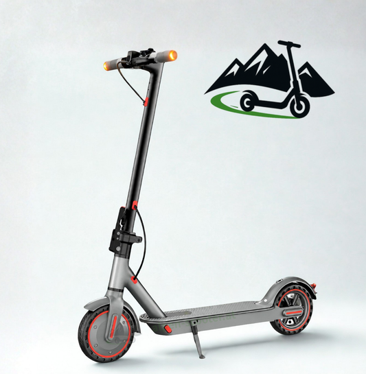 D8 PRO E-Scooter – Mit Blinker | StVO-konform 2026 | 350W | Bis 25 km Reichweite