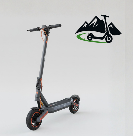 AlpenScooter E12 – E-Scooter mit integriertem Blinker, 500 W & Doppelfederung (StVO 2026)