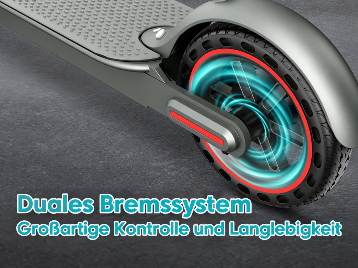 Doppeltes Bremssystem am Hinterrad des D8 PRO